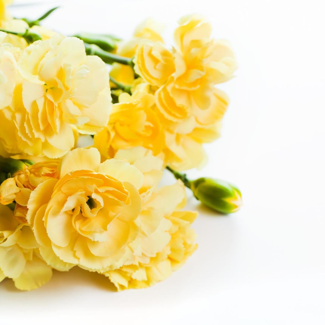Mother's Day
