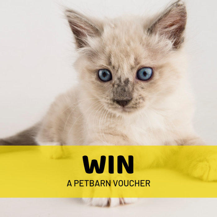 100 Petbarn Voucher Competition Central South Morang Shopping Centre