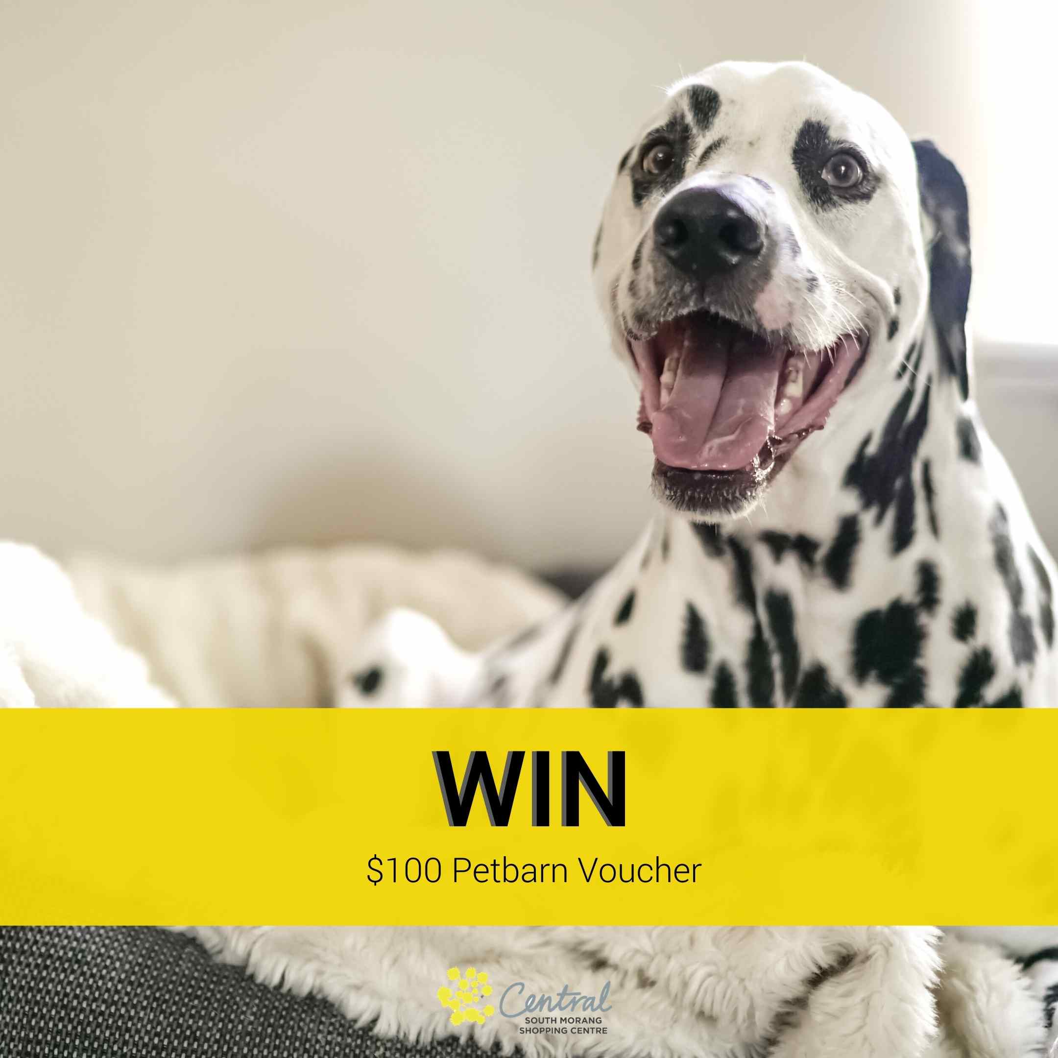 CSM Petbarn Competition